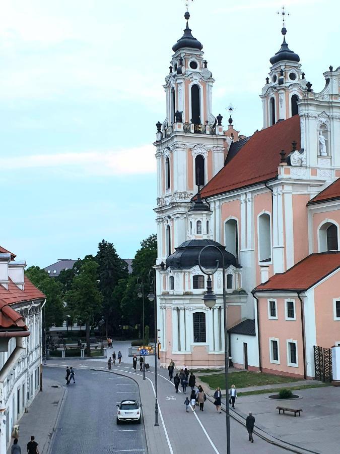 Cozy one bedroom apartment in Old Town Vilnius Buitenkant foto